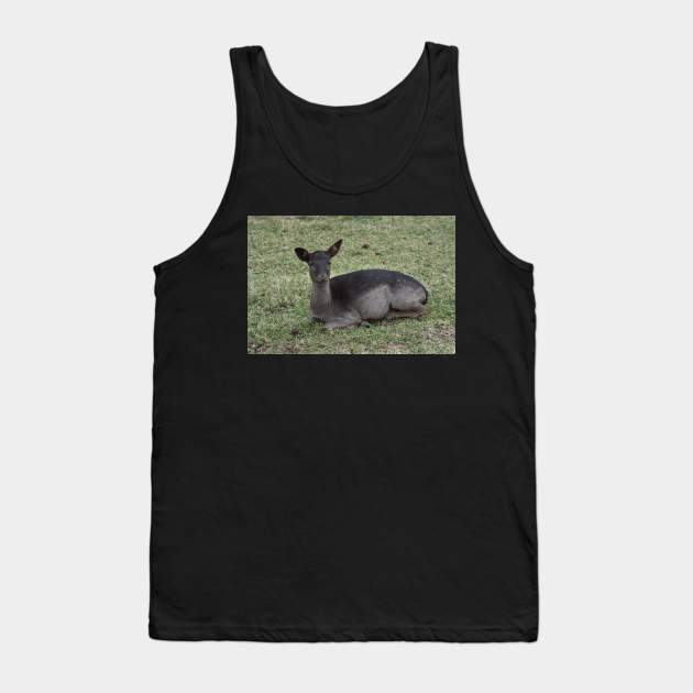 Fallow Deer Tank Top by MarieDarcy